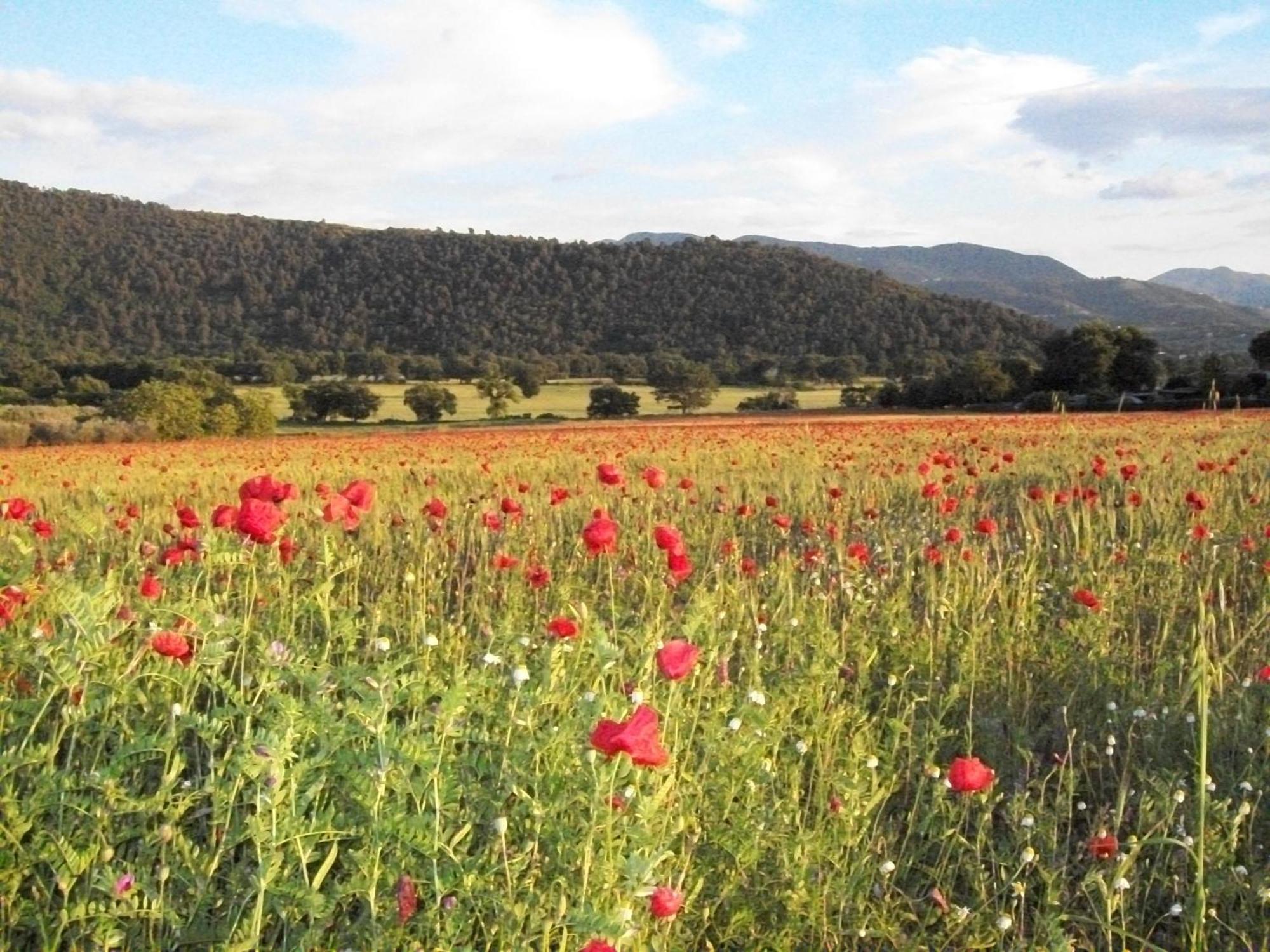 Agriturismo Il Casalino Spoleto Zewnętrze zdjęcie